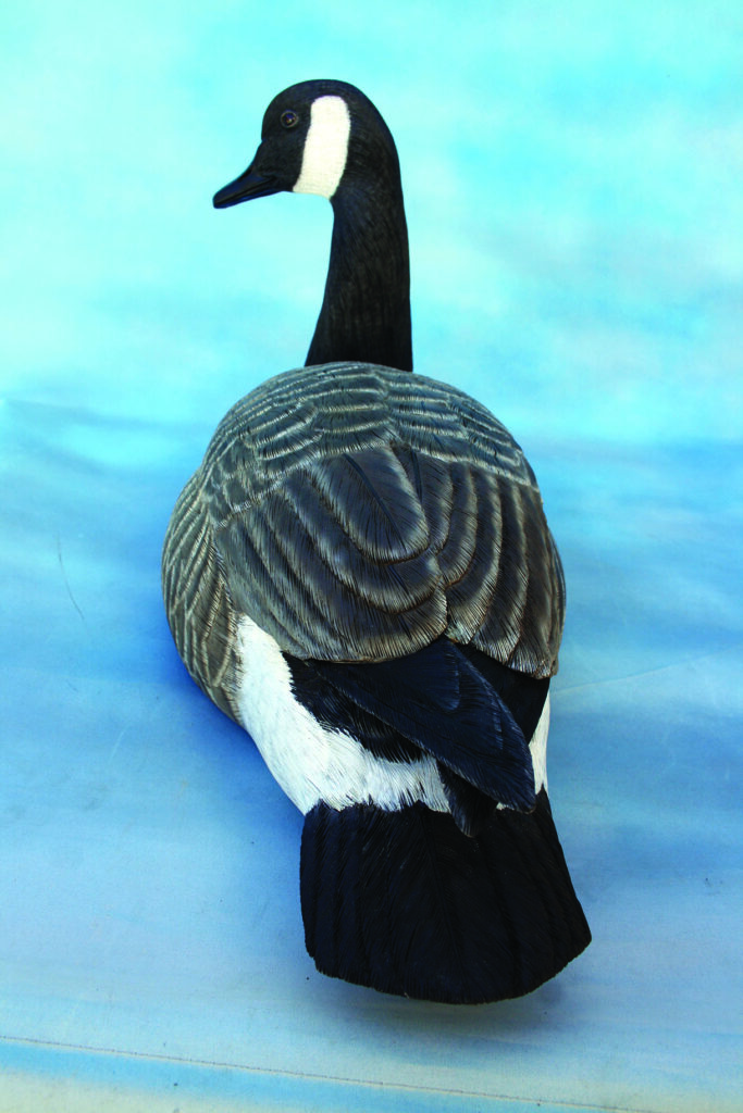 Canadian goose on blue background