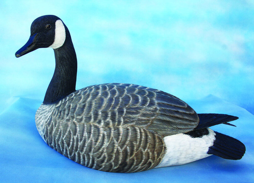 Wooden Canada goose decoy on blue background.
