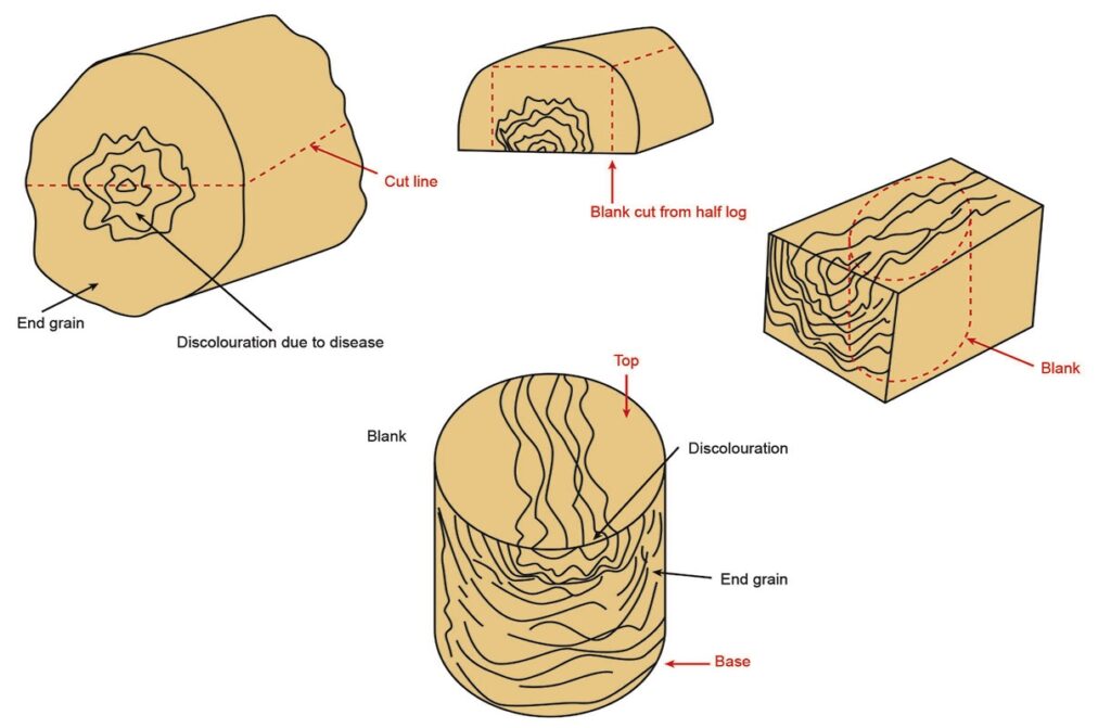 Diagram showing diseased wood grain and discolouration.