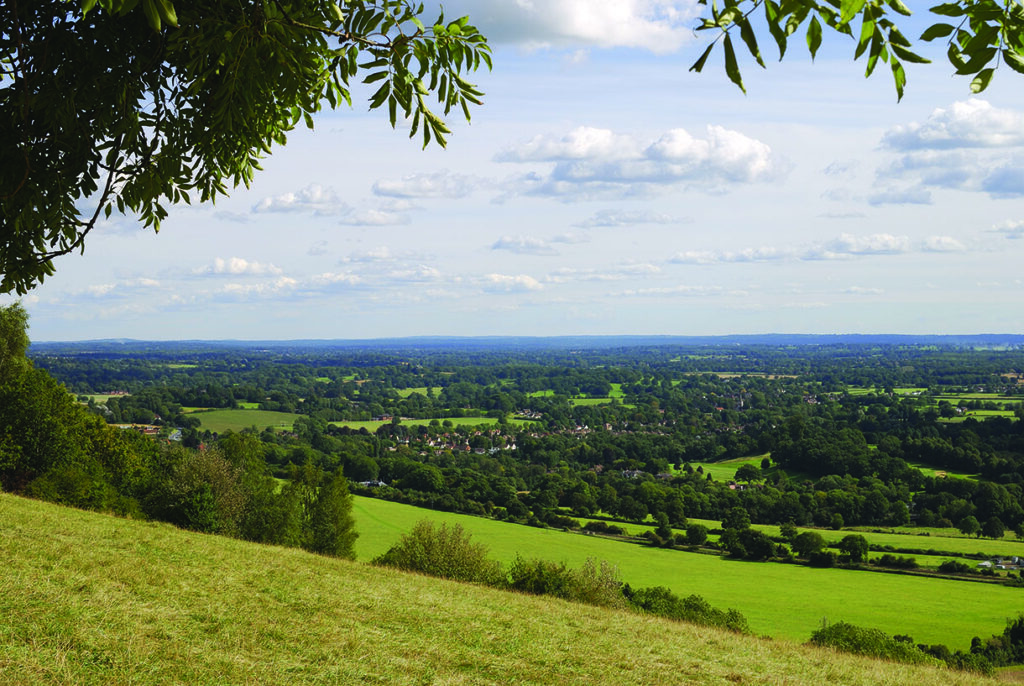 Panoramic view of Surrey Hills countryside landscape.