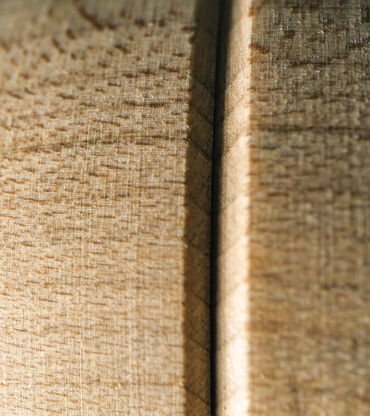 Close-up of beech wood grain texture.