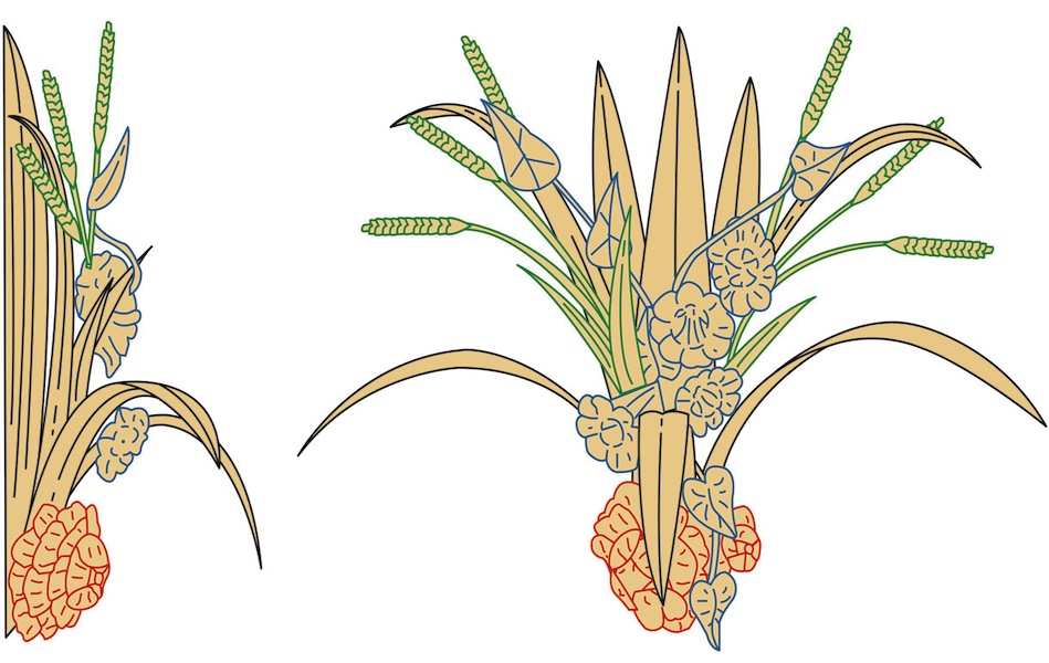 Stylised botanical illustration of flowering plants and grasses