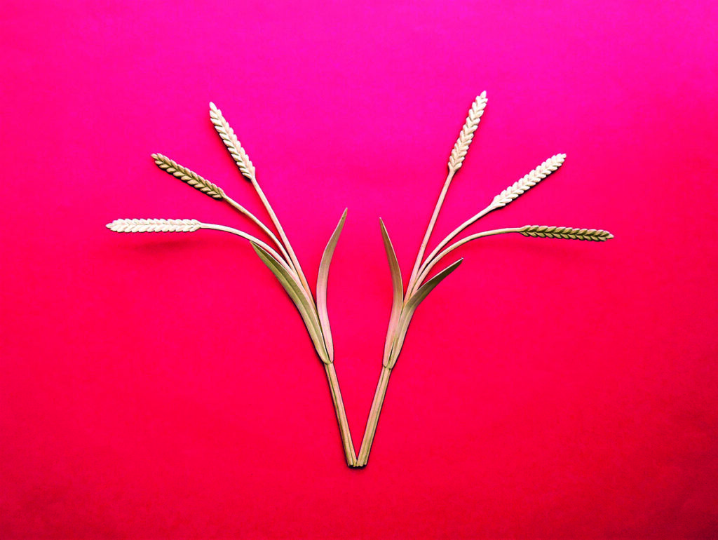 Two wheat stalks arranged like a flowering bouquet