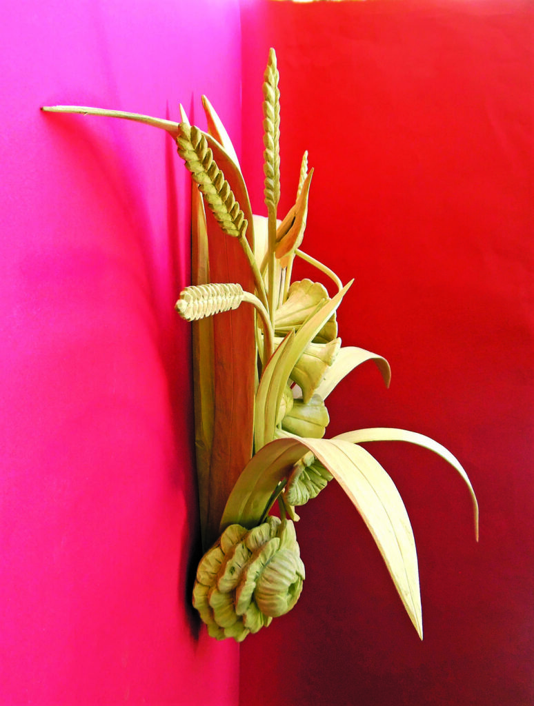 Maize plant with ears and tassels against vivid red backdrop
