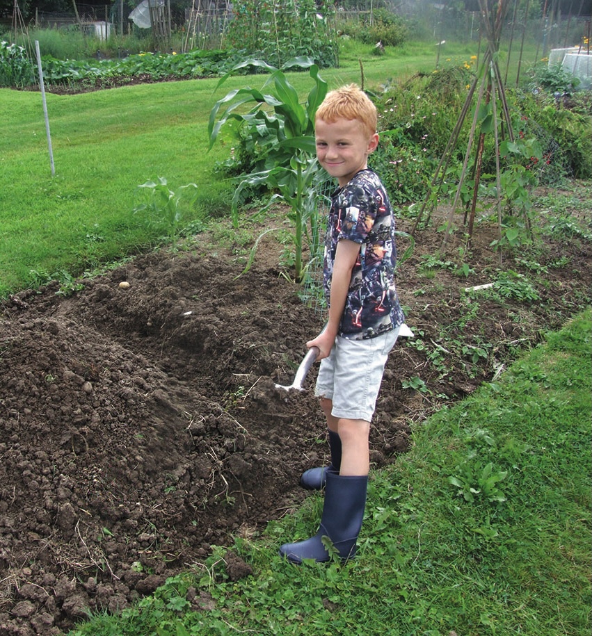 Young boy digging soil in a vegetable garden